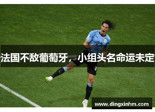 法国不敌葡萄牙，小组头名命运未定